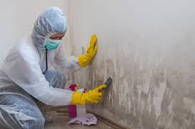 Best Commercial Mold Inspection  in Beachwood, NJ